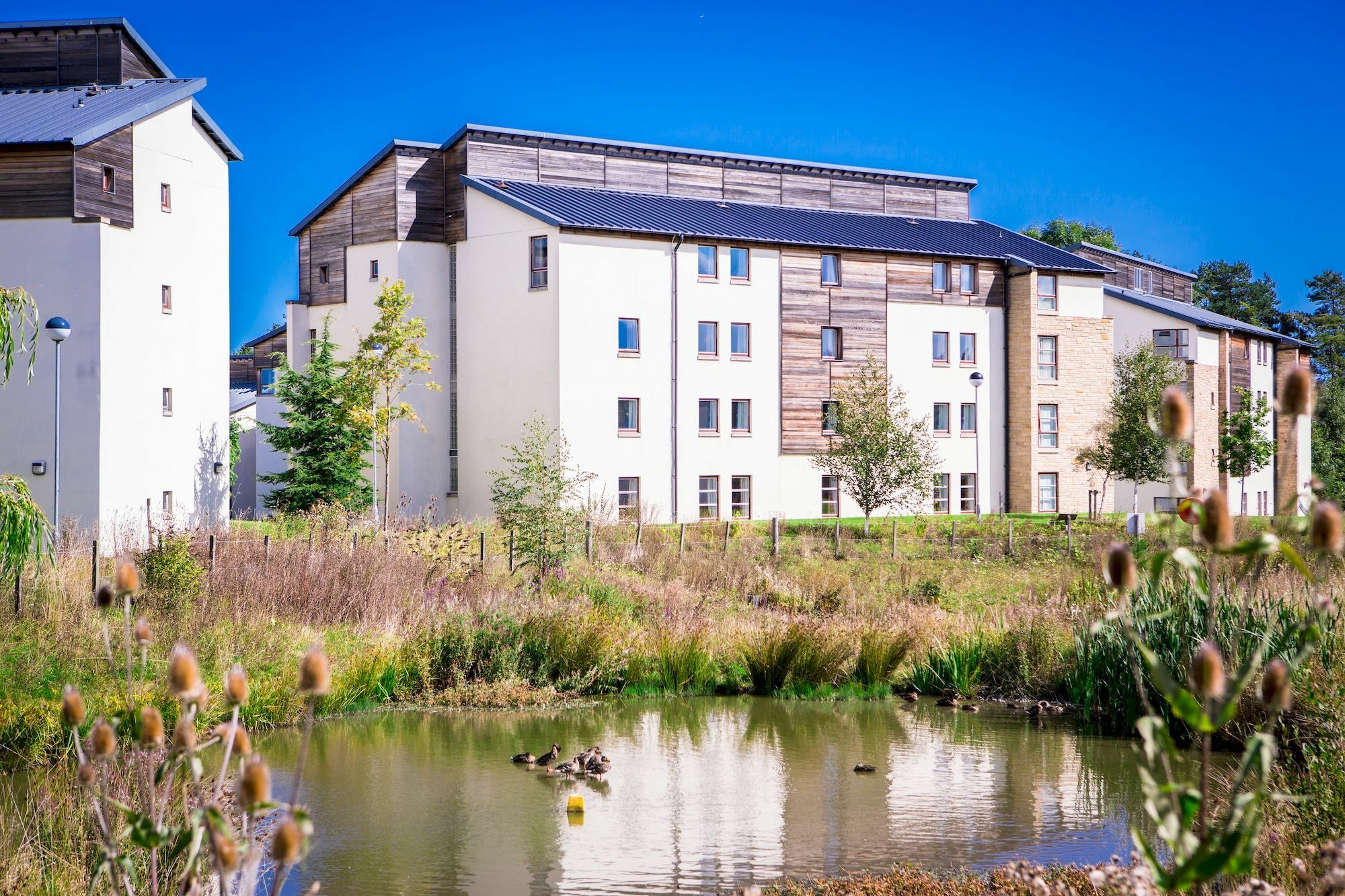 David Russell Apartments - Campus Accommodation St Andrews Dış mekan fotoğraf